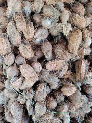 सेमी हस्क नारियल