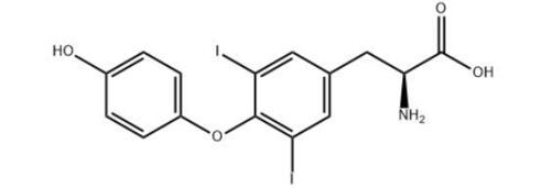 व्हाइट थायरोटैब्स कैस नं.:1041-01-6