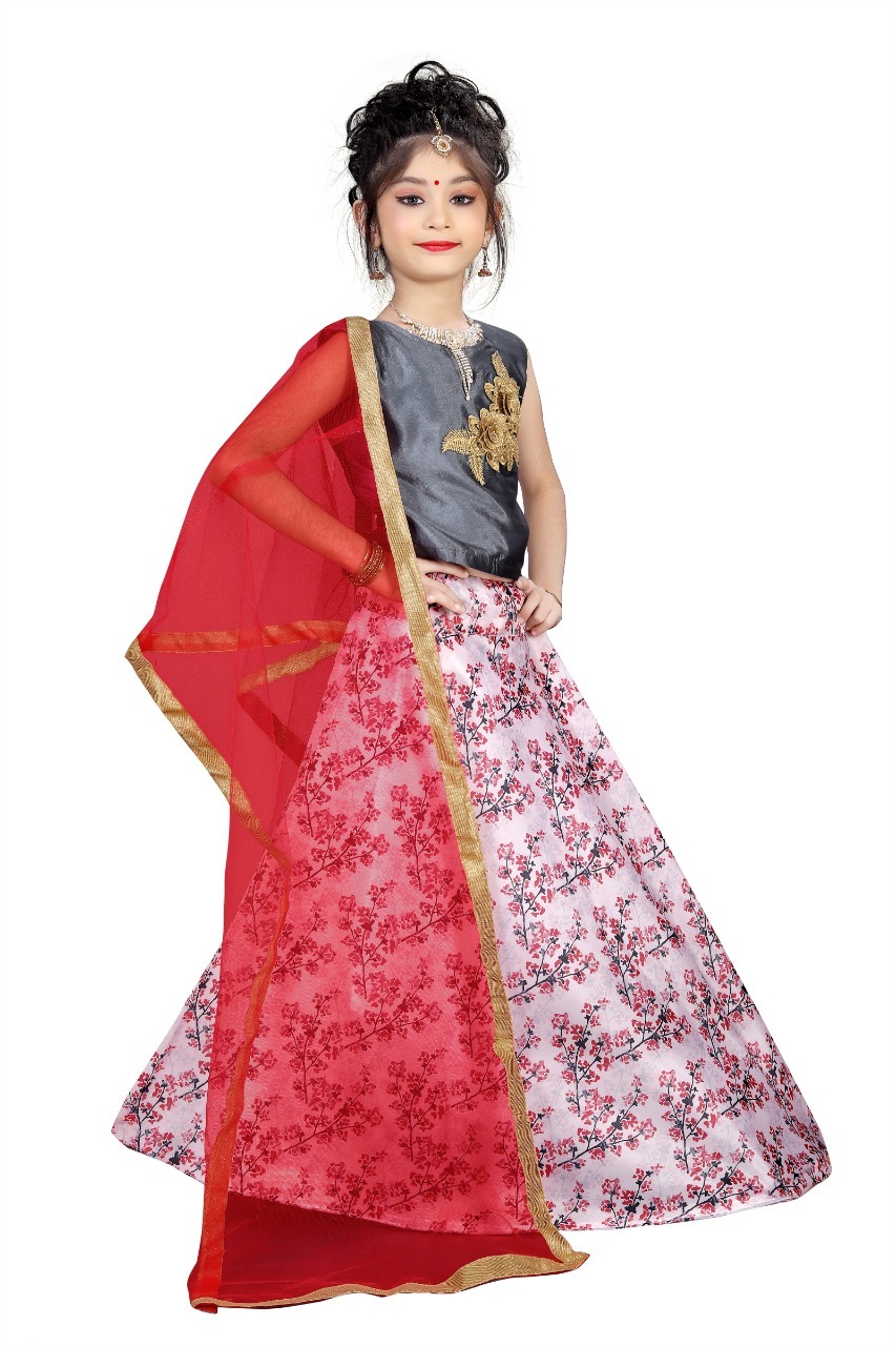 Fancy Lehenga Choli