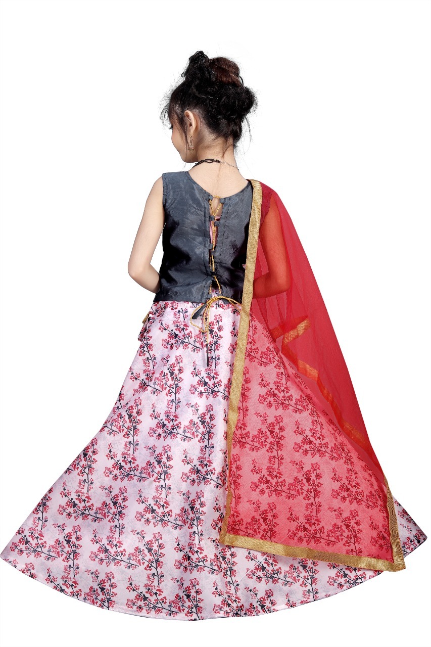Fancy Lehenga Choli