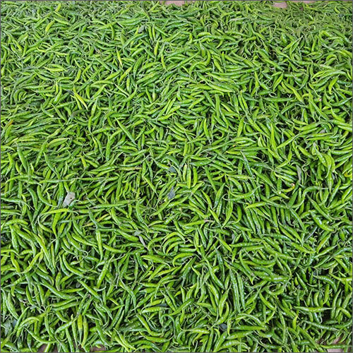 Fresh Chilli