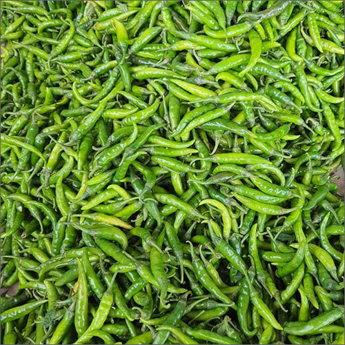 Fresh Chilli