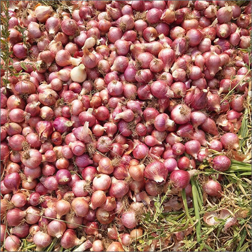 Red Onions