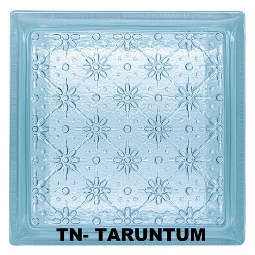 Hollow Clear 1919/8 Taruntum Glass Block