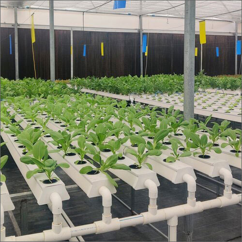 Hydroponic Nft Channel