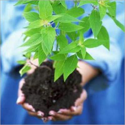 प्लांट नट्री (बायो एंजाइम्स)