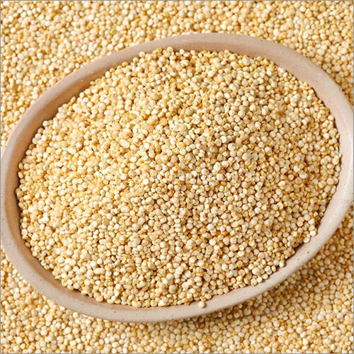 Quinoa Seeds - Color: Creamy White Color