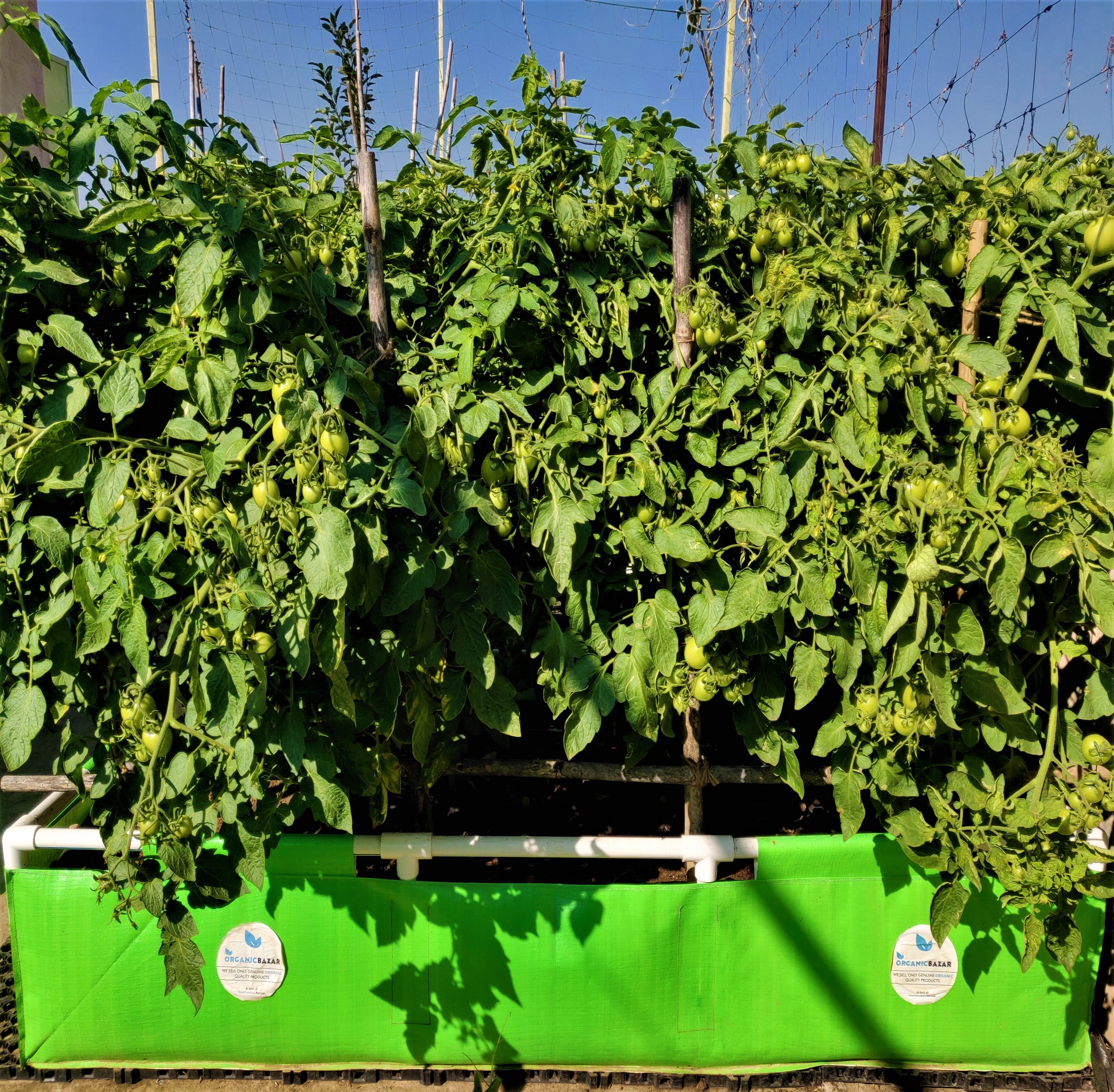 Green Rectangular Hdpe Grow Bag