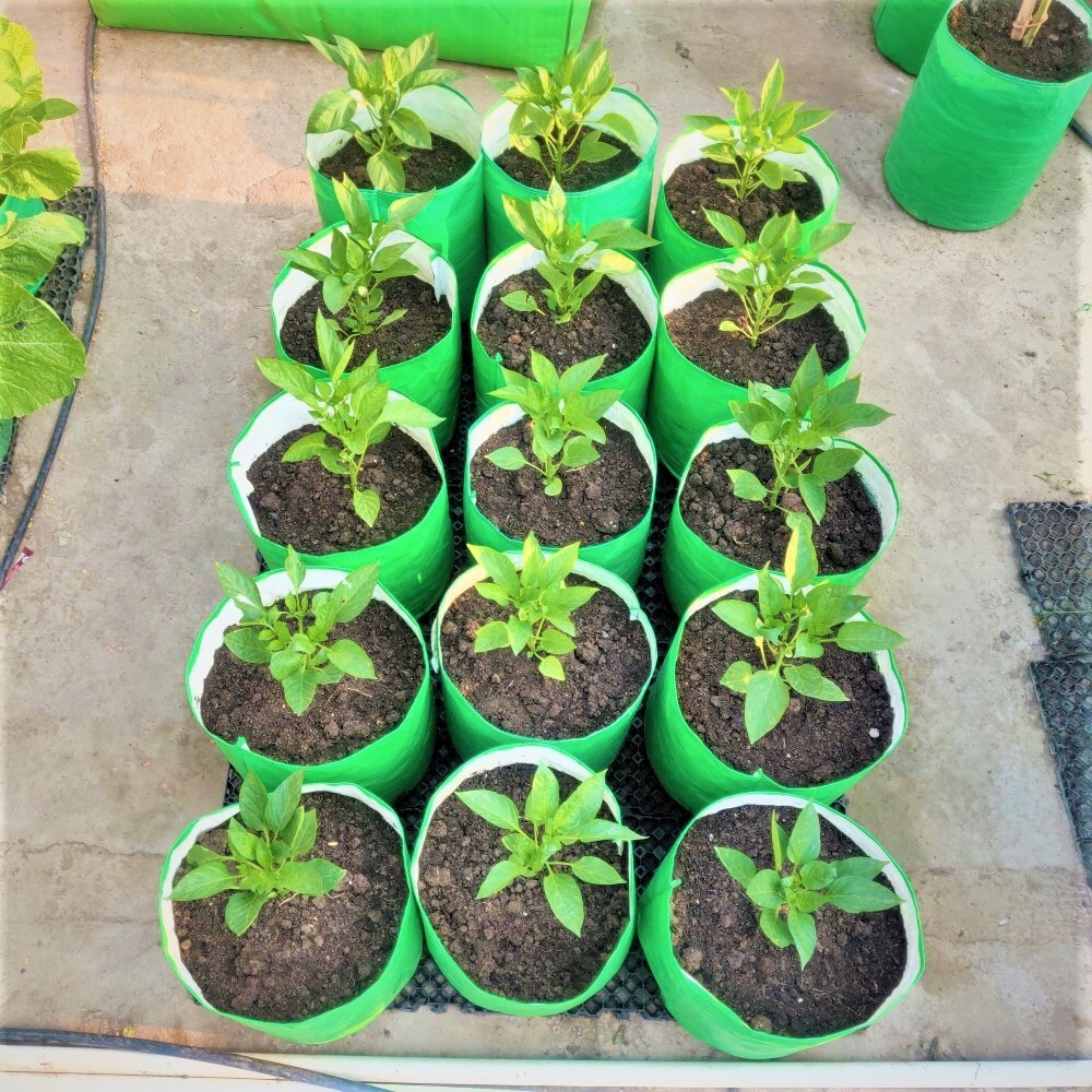 15x15 Inch Hdpe Grow Bags - 260 Gsm Lightweight Uv Stabilized Durable & Reusable With Drainage System For Home & Terrace Gardening