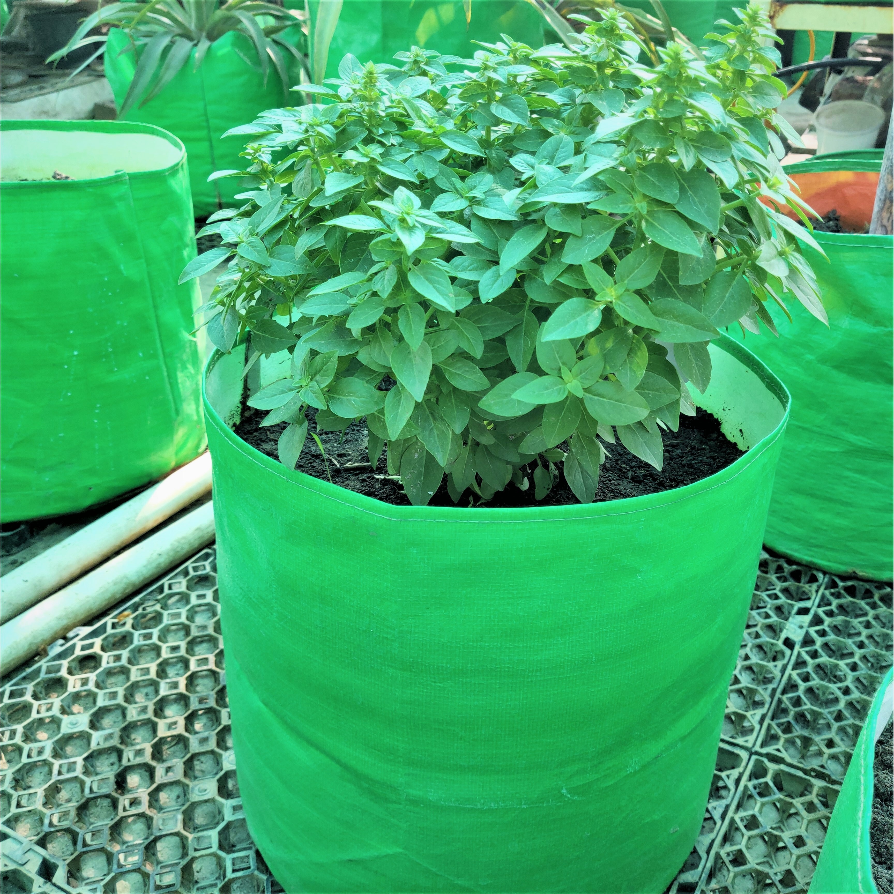 15x15 Inch Hdpe Grow Bags - 260 Gsm Lightweight Uv Stabilized Durable & Reusable With Drainage System For Home & Terrace Gardening