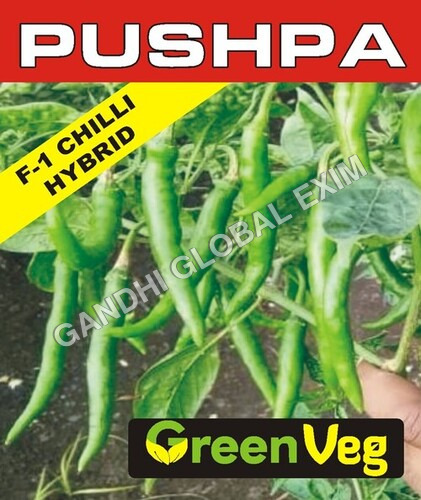 Chilli Seed