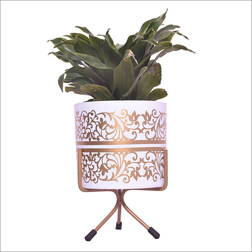 Indoor Tabletop Planter - Metal & Solid Pedestal, Glossy White & Golden Finish | Rust-Free, Stylish Design for Elegant Indoor Display