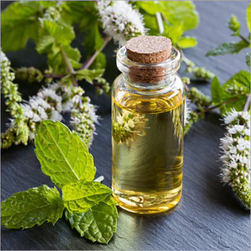 Peppermint (Menthol) Oil