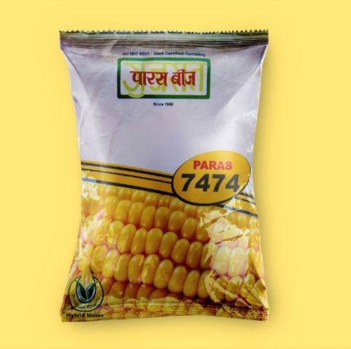 Hybrid Maize Seeds