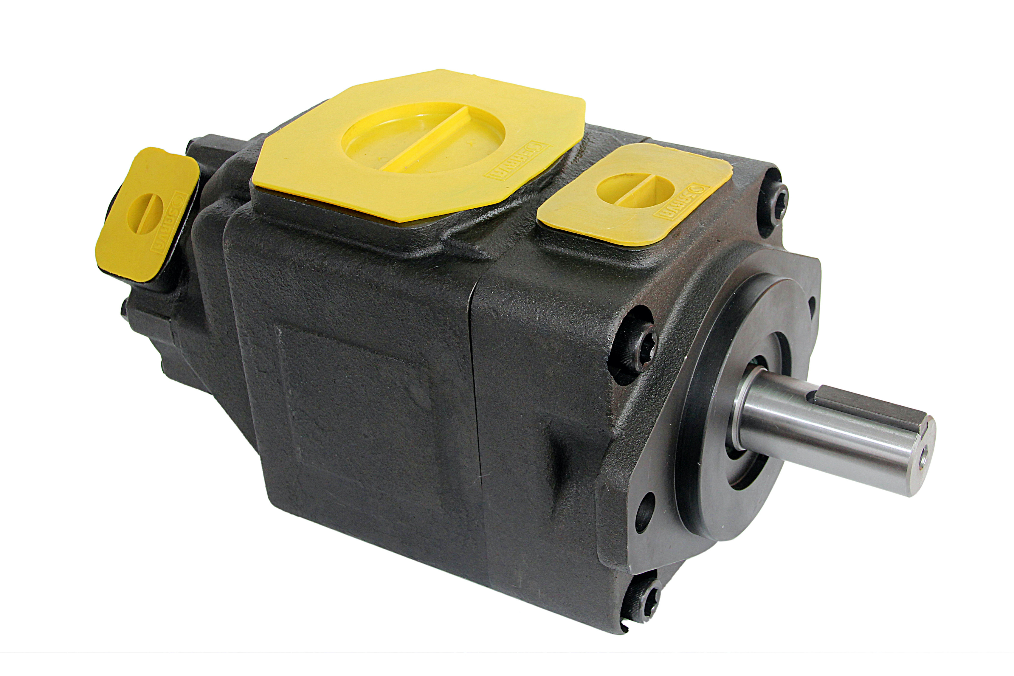Black Sarva Hydraulik Double Vane Pump