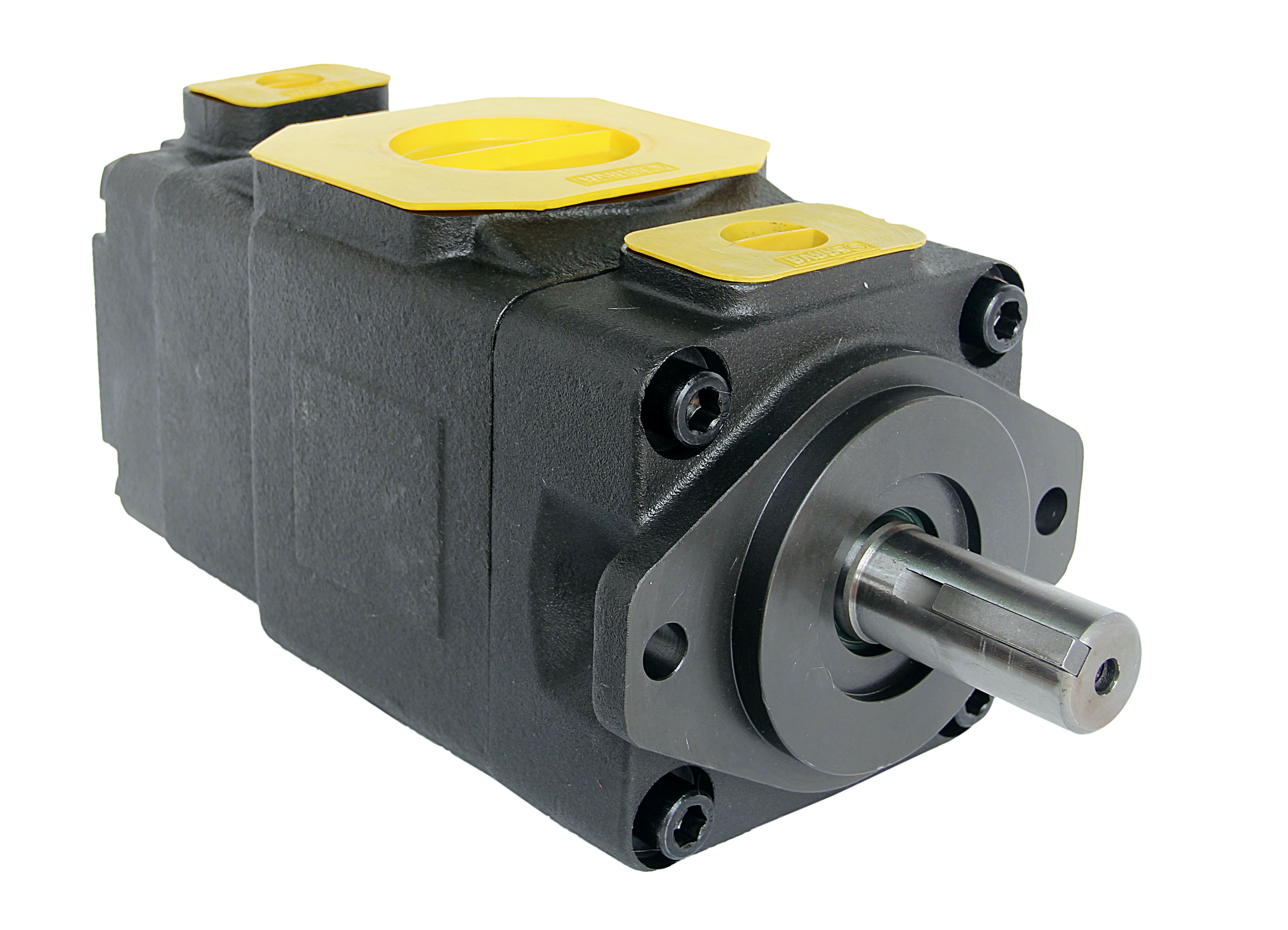 Black Sarva Hydraulik Double Vane Pump