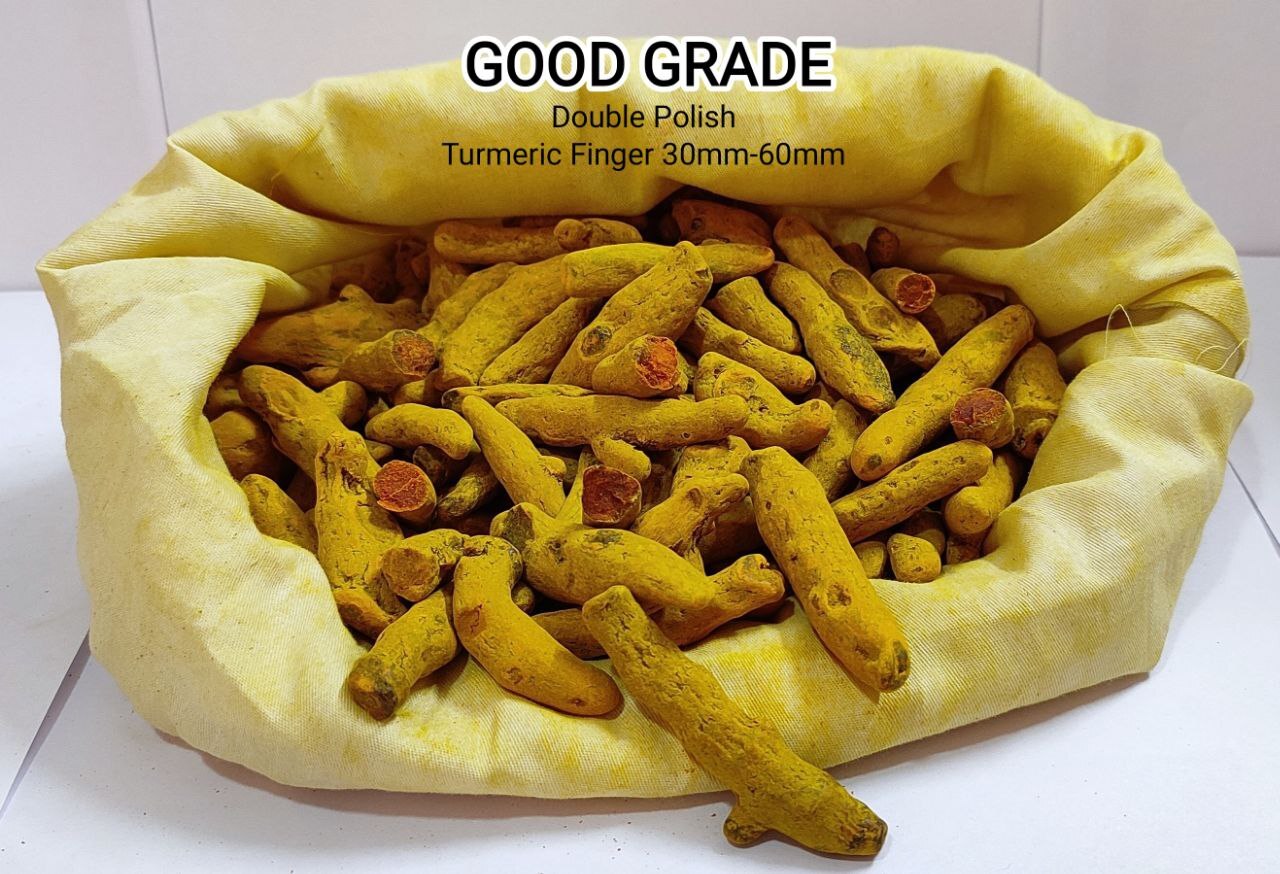 Golden Yellow Haldi Platinum