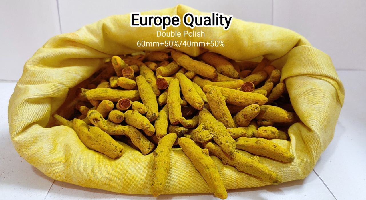 Golden Yellow Haldi Platinum