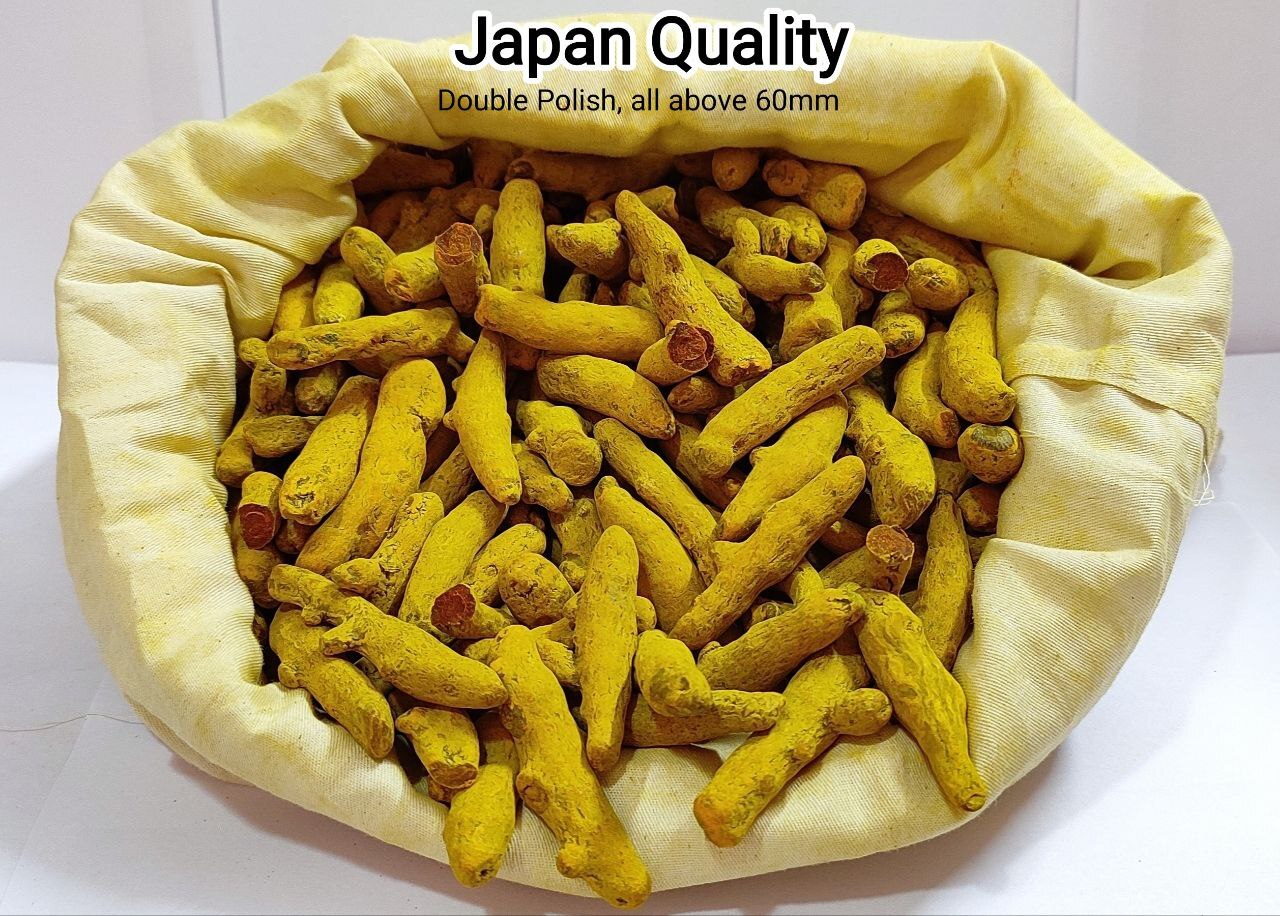 Golden Yellow Haldi Platinum