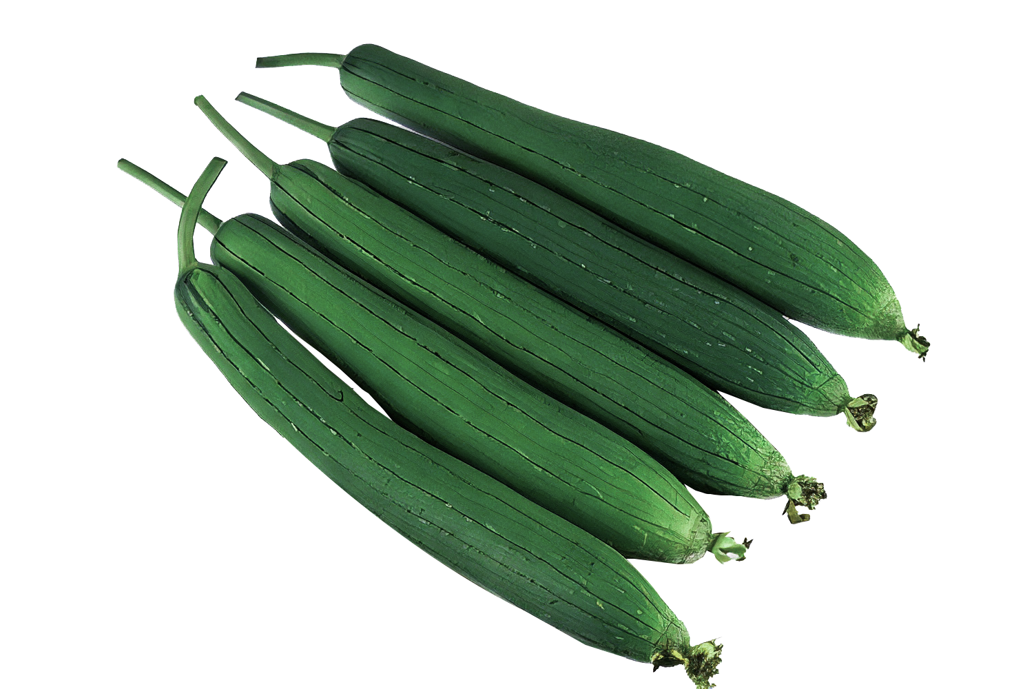 -Prabhas F1 Hybrid Sponge Gourd Seeds