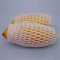 मैंगो फ्रूट फोम नेट लाइट इन वेट