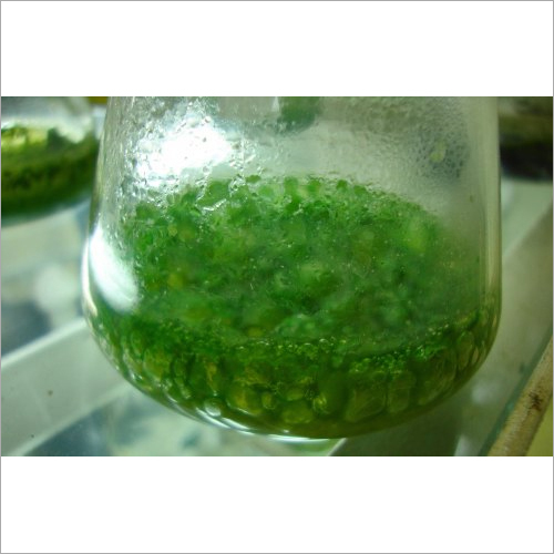 बायो कल्चर केमिकल