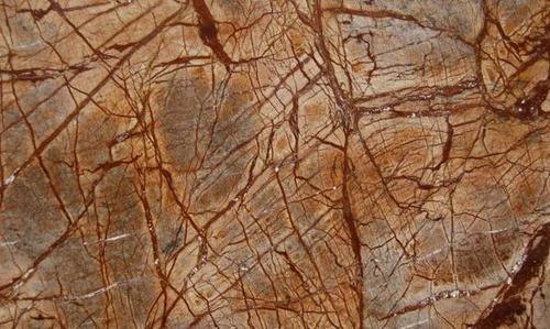 Rainforest Brown Marble