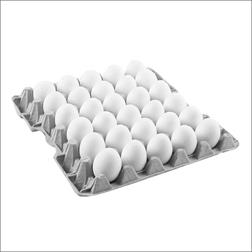 High Protein White Egg Egg Origin: Chicken