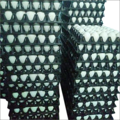 High Protein White Egg Egg Origin: Chicken