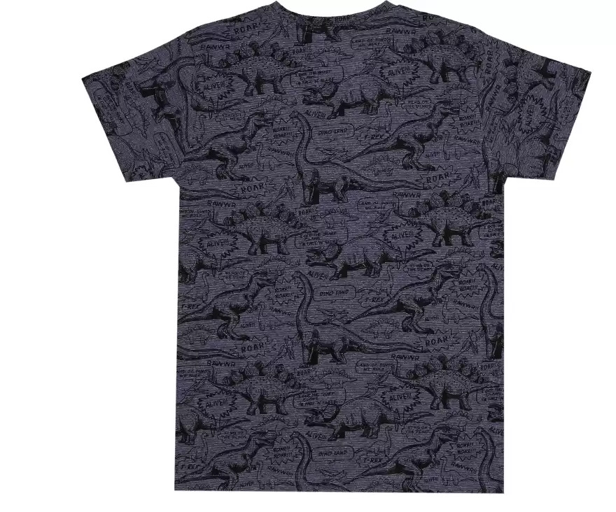 Grey Boys Printed Pure Cotton T Shirt