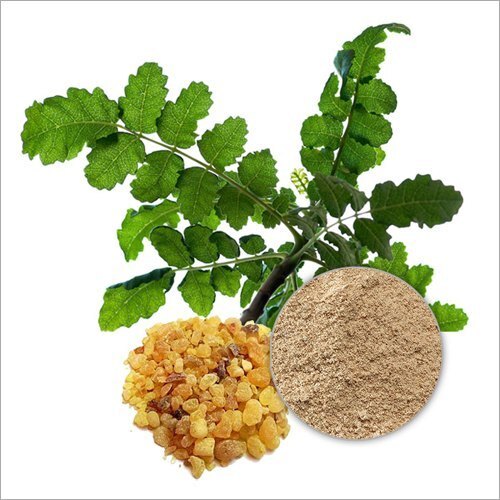 Boswellia Serrata Extract - Herbal Powder, All-Age Suitable, Quality Ingredients, Best Storage in Dry Place