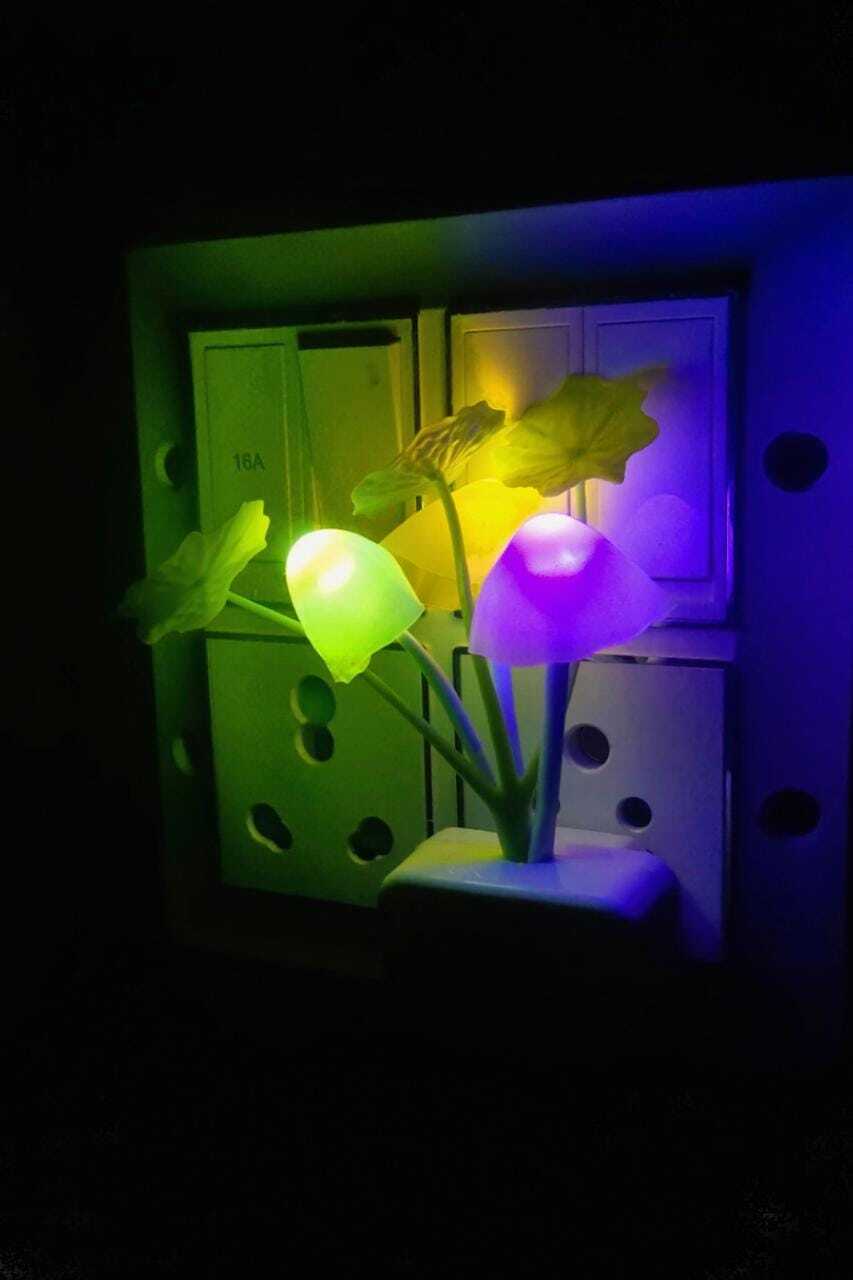 Led Mushroom Lamp