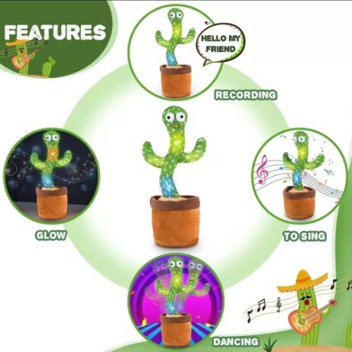 Cactus Dancing Tree Length: 10 X 10 X 15  Centimeter (Cm)