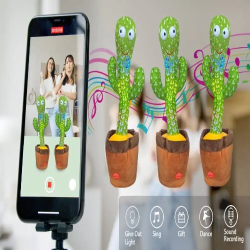 Cactus Dancing Tree Length: 10 X 10 X 15  Centimeter (Cm)