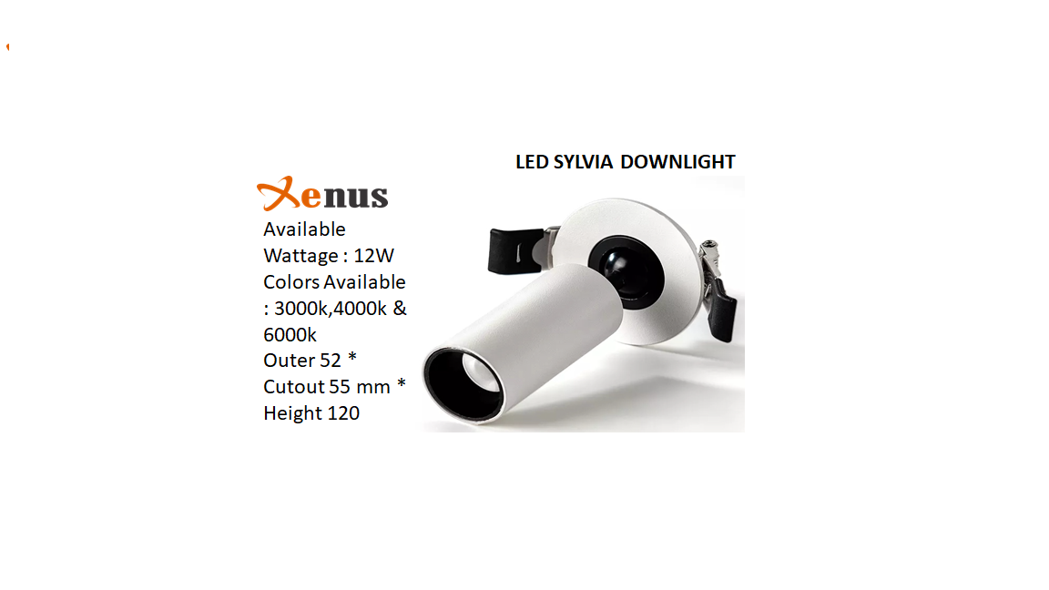 Cob Down Light