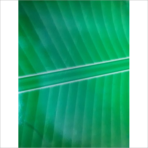 Banana Leaf Paper Size: Customized