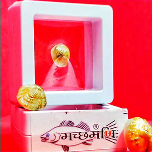 Machh Mani Pearls Size: Customized