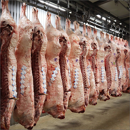 Frozen Beef Grade: A