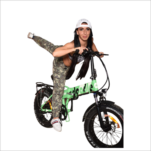 Doodle Foldable Electric Bicycle - Aluminum Alloy Frame, 20 Inch Tires, Green | 10ah Battery, Dual Disc Brakes, 3 Inch Lcd Display, 250w Motor