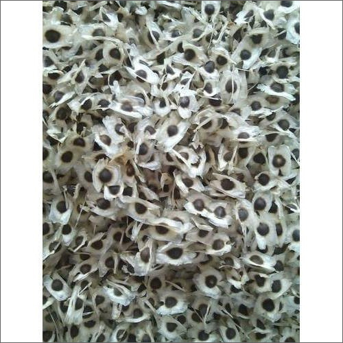 Organic Moringa Seed