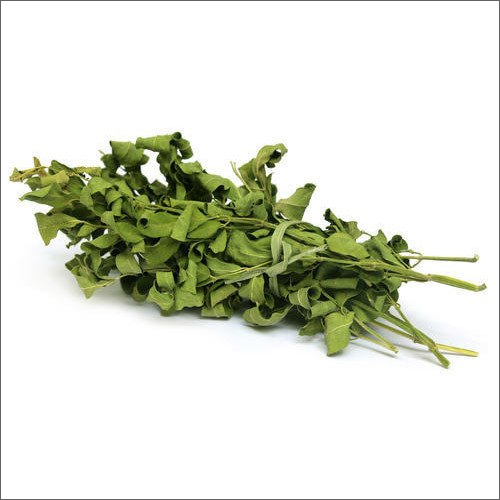 मोरिंगा की सूखी पत्ती