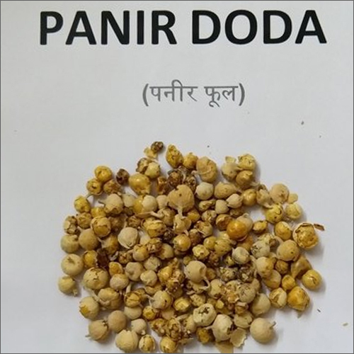 पनीर फूल
