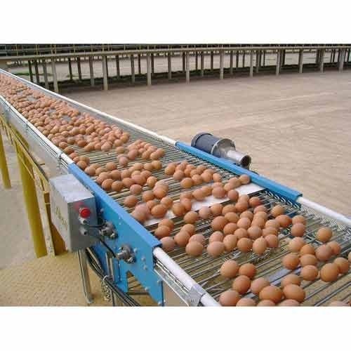 Egg Cross Conveyor