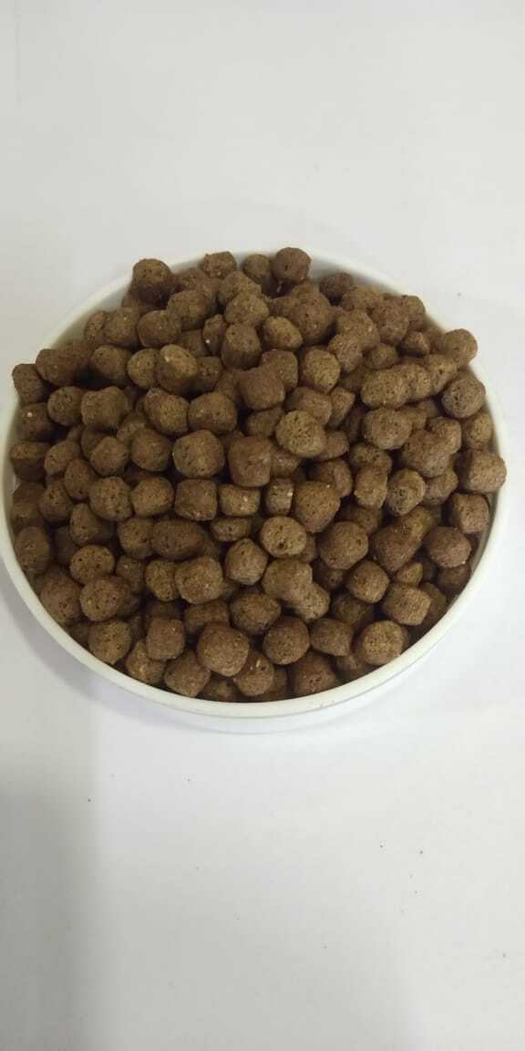 Floating Fish Feed