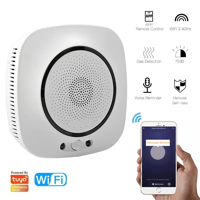Wifi Co Carbon Monoxide Gas Detector Alarm With Tuya App Monitoring Tuya Smart Home Indoor