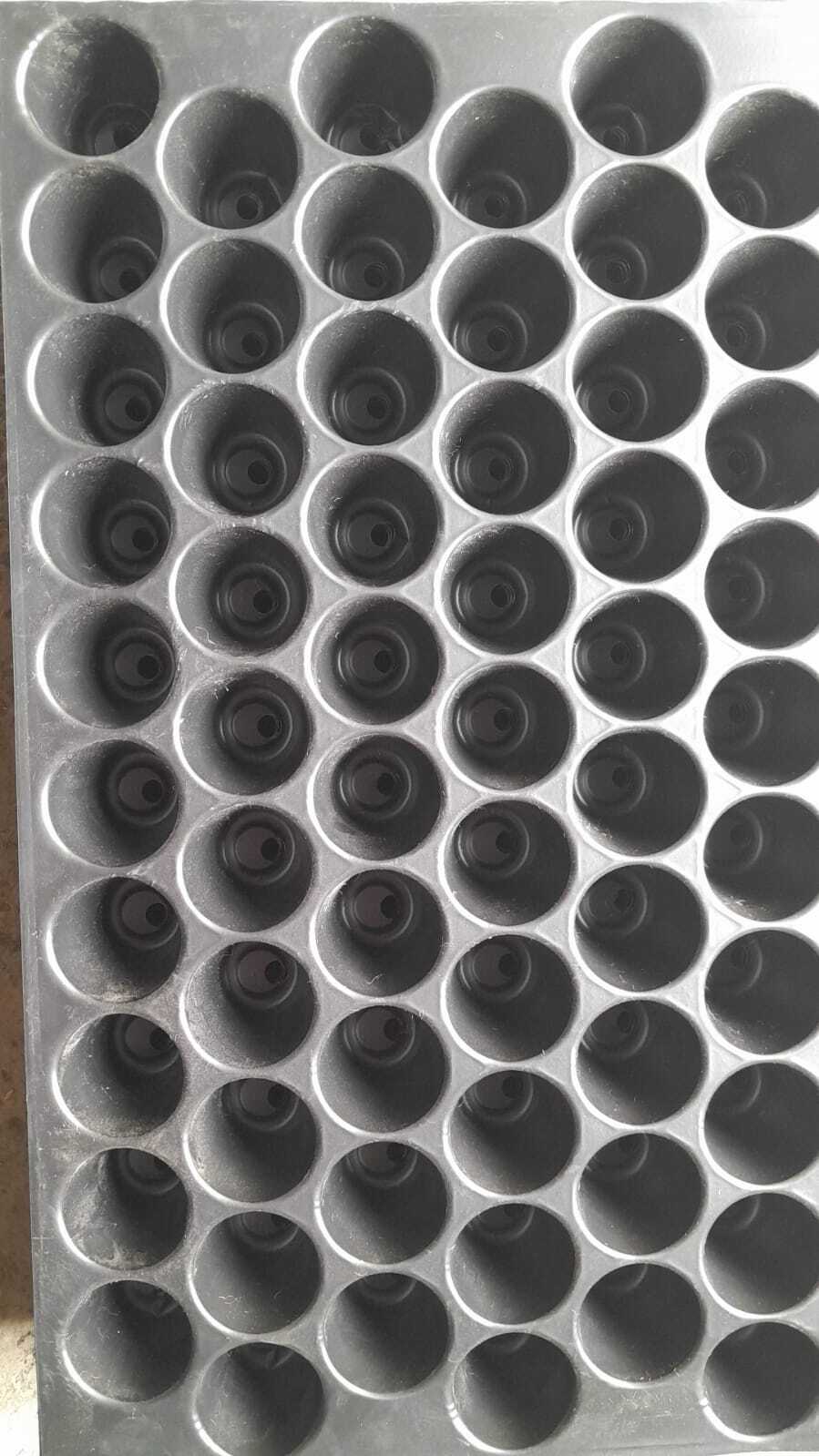 70 Cavity Seedling Tray - Plastic Material, 1.4 Inch Size | Ideal For Germination Of Papaya And Sufar Tree Seeds, Durable Plastic Coated Finish