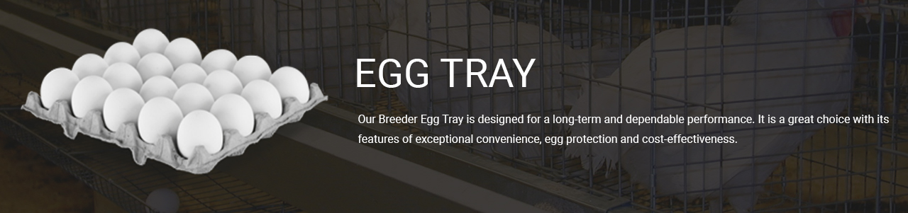 Sagar Poultries Pvt. Ltd. Banner