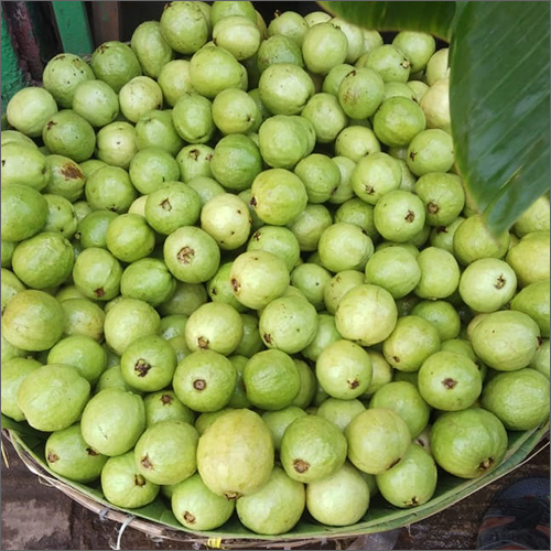 हरा ताजा अमरूद