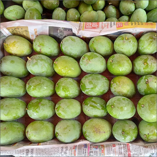कॉमन फ्रेश ग्रीन मैंगो