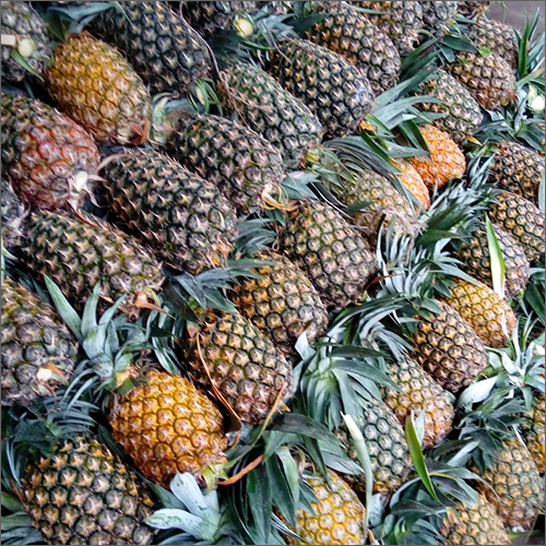 Greenish Yellow Fresh Pineapple